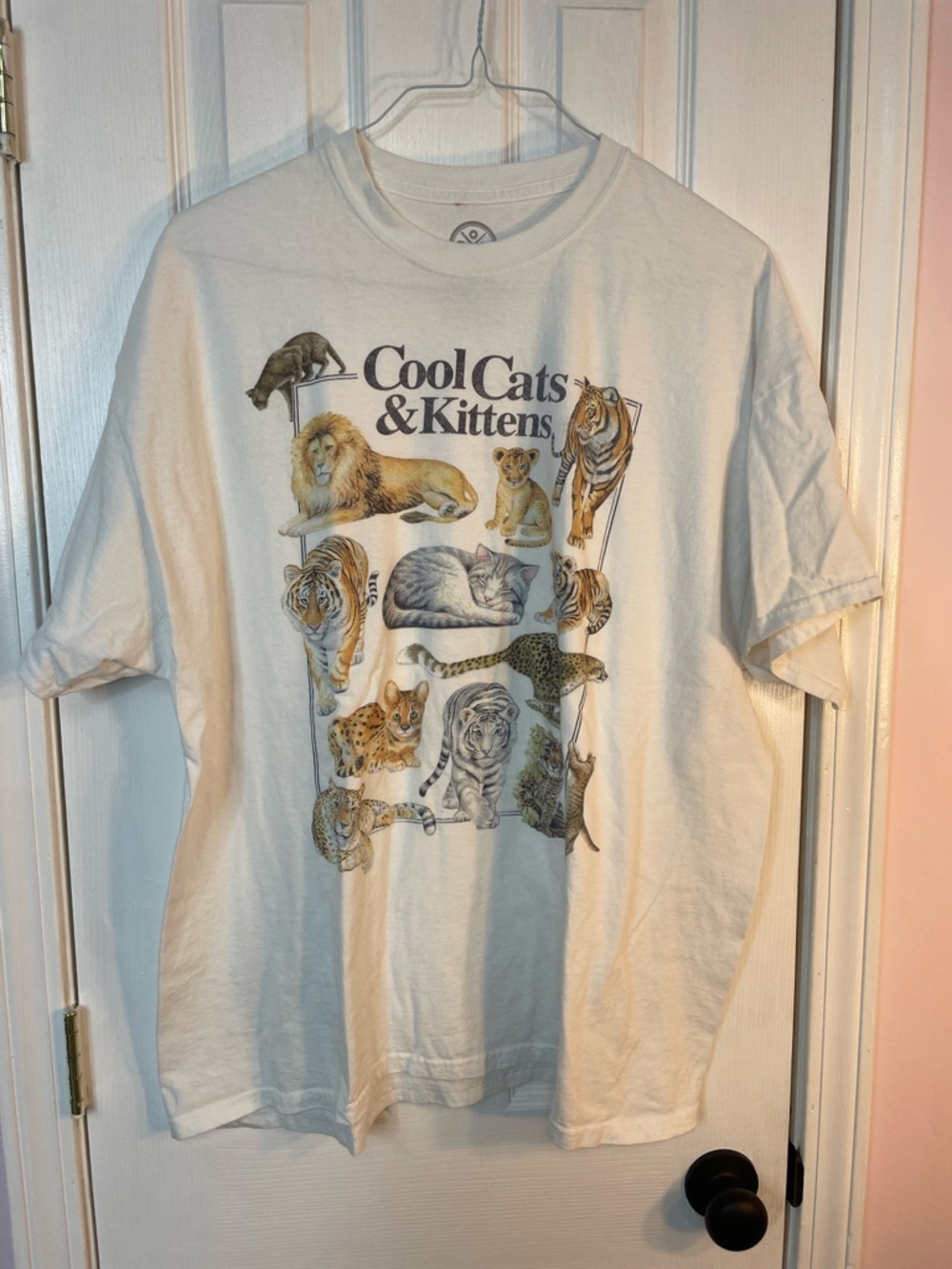 Cool Cats & Kittens Graphic Tee - White